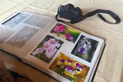 IMG-20260831-WA0003