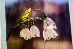IMG-20260831-WA0012